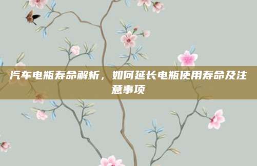汽车电瓶寿命解析,如何延长电瓶使用寿命及注意事项