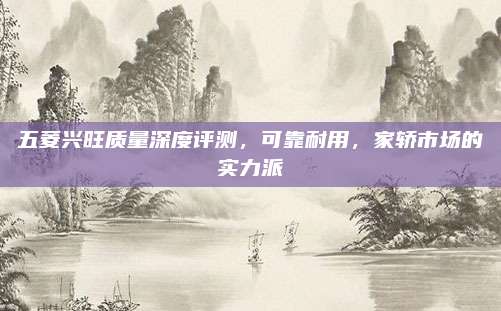 五菱兴旺质量深度评测,可靠耐用,家轿市场的实力派