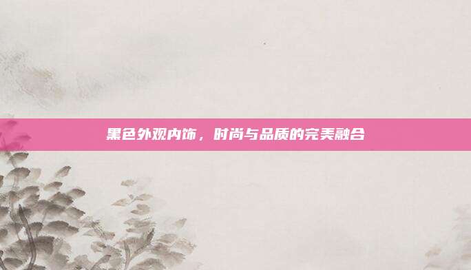 黑色外观内饰，时尚与品质的完美融合