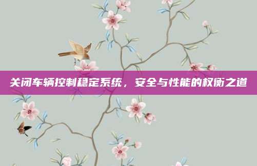 关闭车辆控制稳定系统,安全与性能的权衡之道