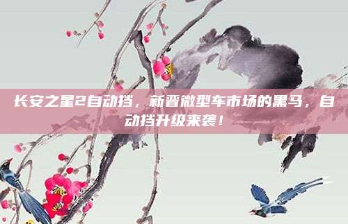 长安之星2自动挡,新晋微型车市场的黑马,自动挡升级来袭!