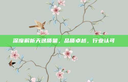 深度解析天逸质量,品质卓越,行业认可
