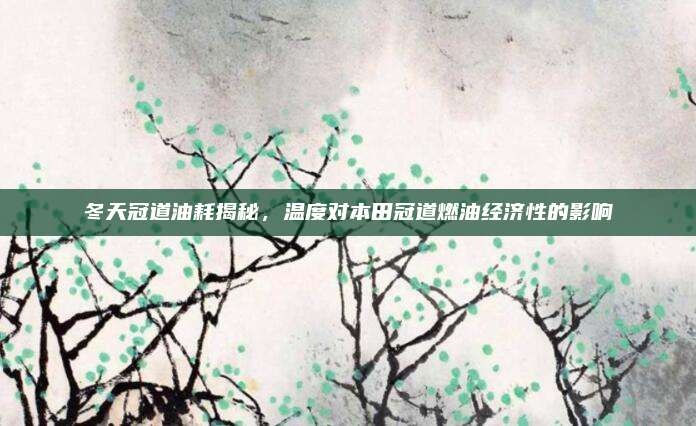 冬天冠道油耗揭秘,温度对本田冠道燃油经济性的影响