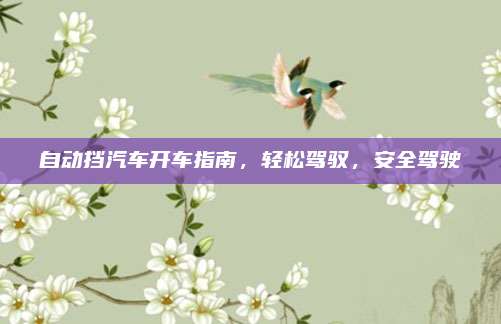 自动挡汽车开车指南，轻松驾驭，安全驾驶