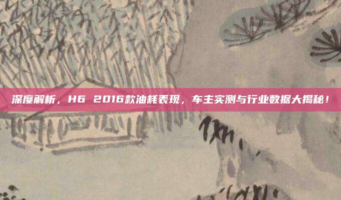 深度解析,H6 2016款油耗表现,车主实测与行业数据大揭秘!