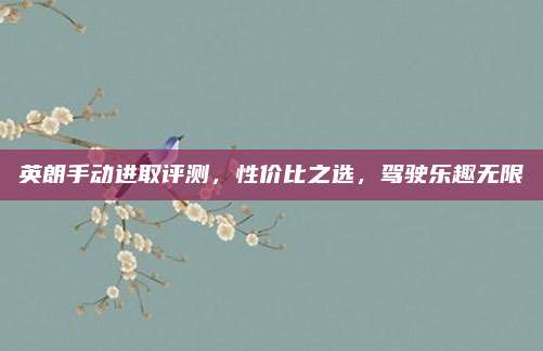 英朗手动进取评测,性价比之选,驾驶乐趣无限