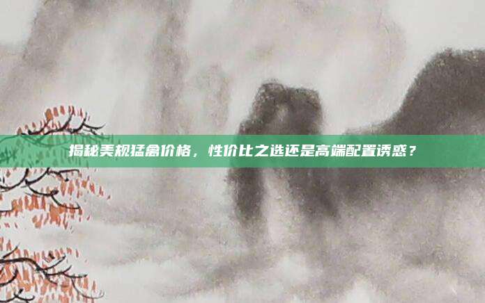 揭秘美规猛禽价格,性价比之选还是高端配置诱惑?