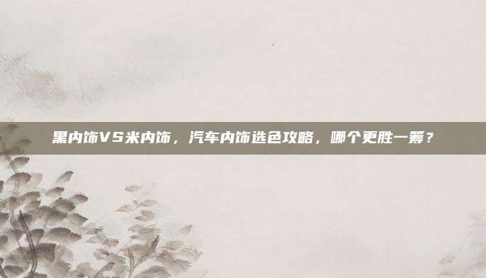 黑内饰VS米内饰,汽车内饰选色攻略,哪个更胜一筹?