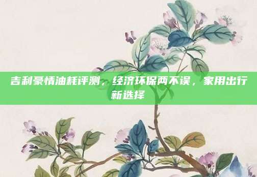 吉利豪情油耗评测,经济环保两不误,家用出行新选择
