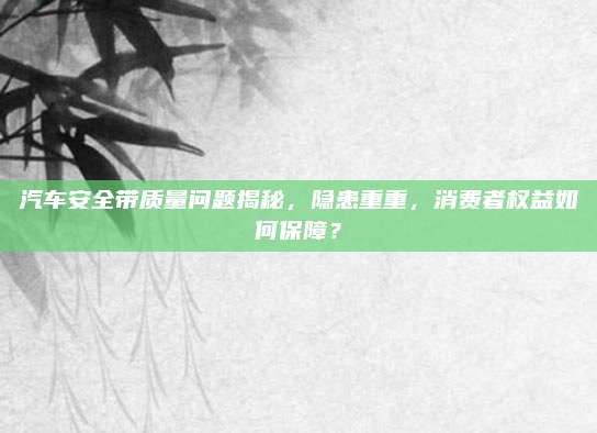 汽车安全带质量问题揭秘,隐患重重,消费者权益如何保障?