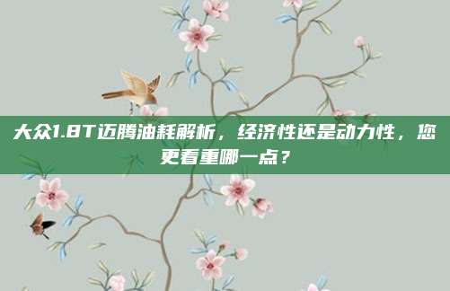 大众1.8T迈腾油耗解析,经济性还是动力性,您更看重哪一点?