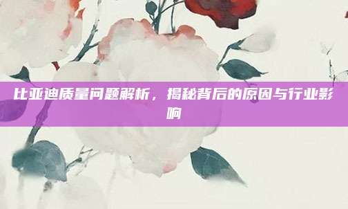 比亚迪质量问题解析,揭秘背后的原因与行业影响