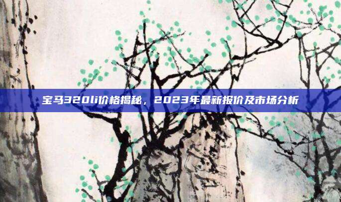 宝马320li价格揭秘,2023年最新报价及市场分析