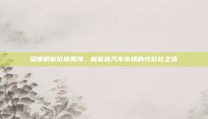 深度解析价格黄海,新能源汽车市场的性价比之选