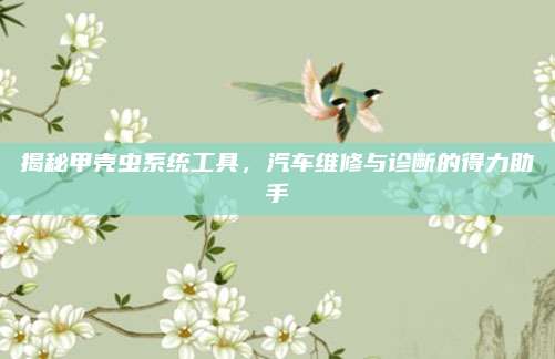 揭秘甲壳虫系统工具,汽车维修与诊断的得力助手
