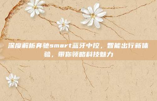 深度解析奔驰smart蓝牙中控,智能出行新体验,带你领略科技魅力