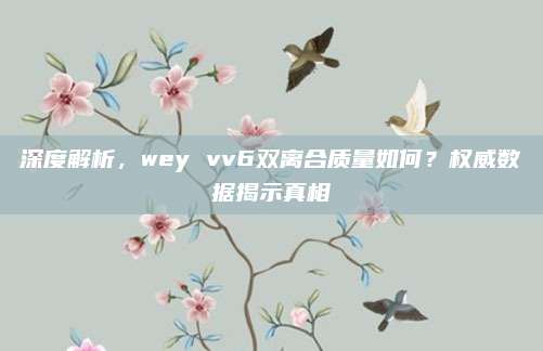 深度解析,wey vv6双离合质量如何?权威数据揭示真相