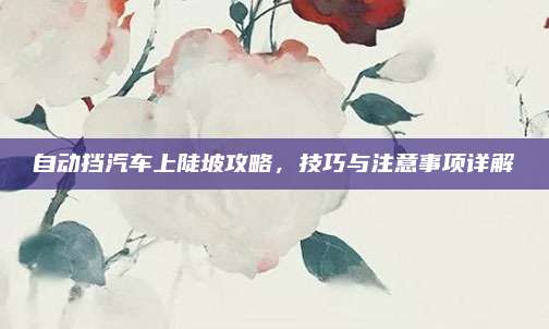 自动挡汽车上陡坡攻略,技巧与注意事项详解