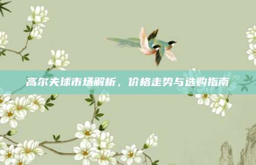 高尔夫球市场解析,价格走势与选购指南