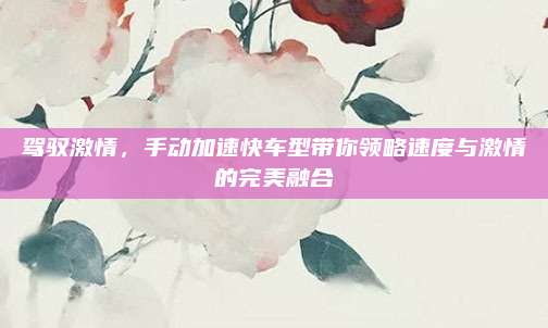 驾驭激情,手动加速快车型带你领略速度与激情的完美融合