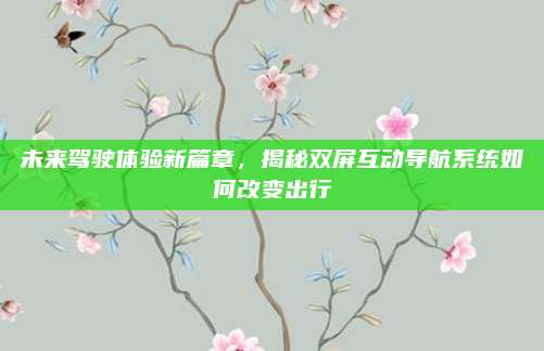 未来驾驶体验新篇章,揭秘双屏互动导航系统如何改变出行