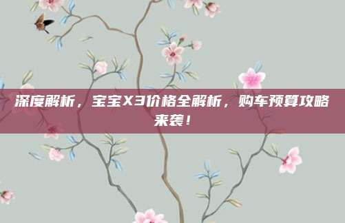 深度解析,宝宝X3价格全解析,购车预算攻略来袭!