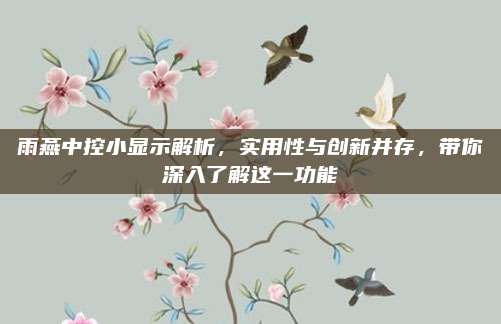 雨燕中控小显示解析,实用性与创新并存,带你深入了解这一功能
