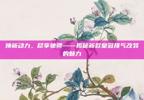 焕新动力,尽享驰骋——揭秘新款皇冠排气改装的魅力