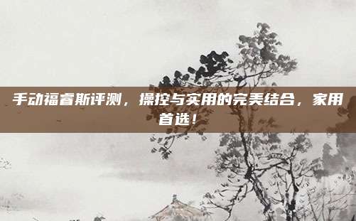 手动福睿斯评测,操控与实用的完美结合,家用首选!
