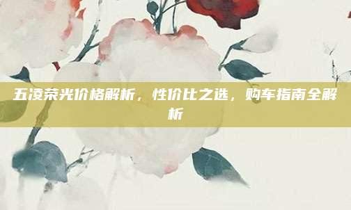 五凌荣光价格解析,性价比之选,购车指南全解析