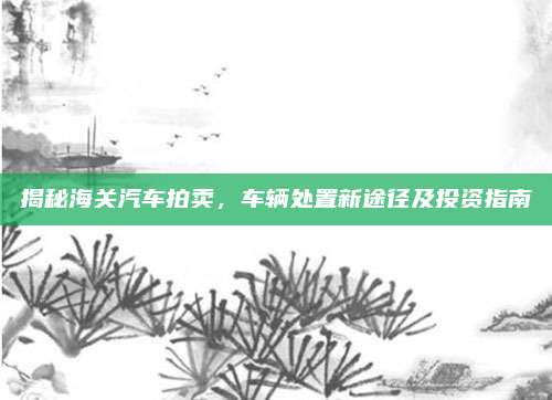 揭秘海关汽车拍卖,车辆处置新途径及投资指南