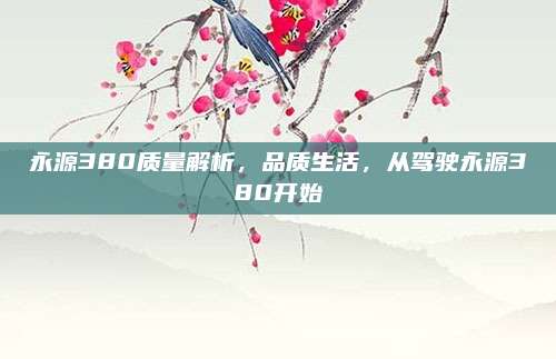 永源380质量解析,品质生活,从驾驶永源380开始