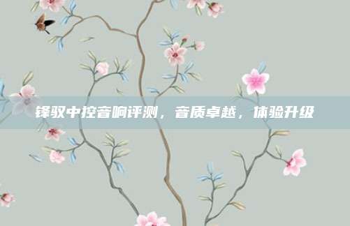 锋驭中控音响评测,音质卓越,体验升级