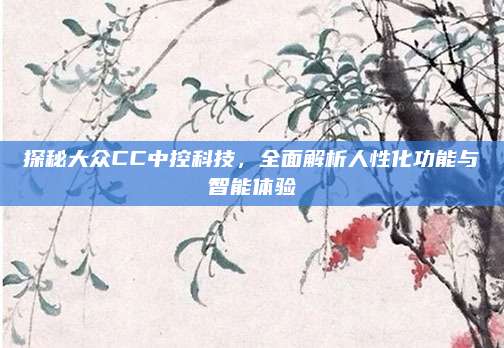 探秘大众CC中控科技,全面解析人性化功能与智能体验