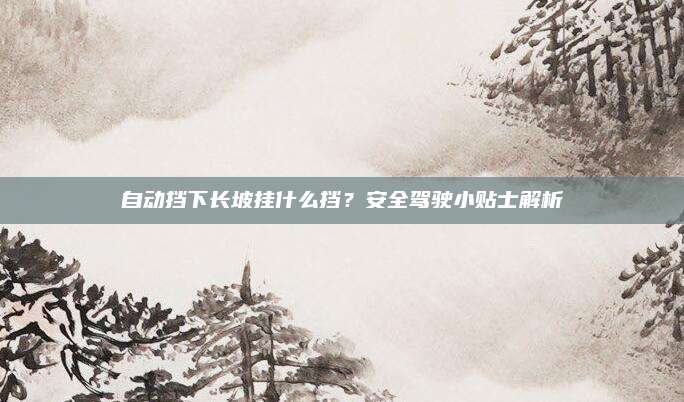 自动挡下长坡挂什么挡?安全驾驶小贴士解析
