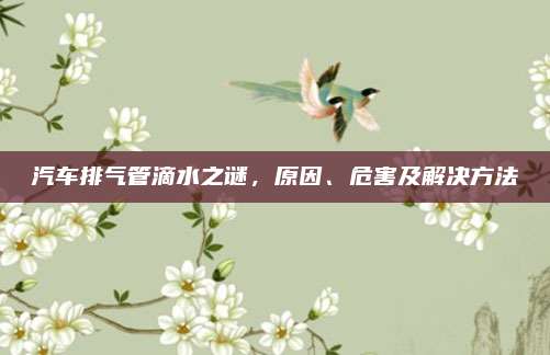 汽车排气管滴水之谜,原因、危害及解决方法