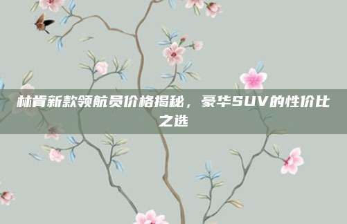 林肯新款领航员价格揭秘,豪华SUV的性价比之选