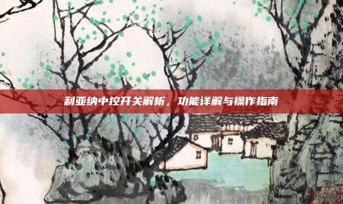 利亚纳中控开关解析,功能详解与操作指南