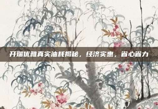 开瑞优雅真实油耗揭秘,经济实惠,省心省力