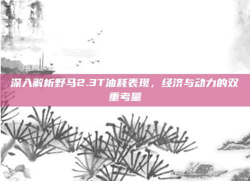 深入解析野马2.3T油耗表现,经济与动力的双重考量