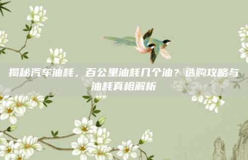 揭秘汽车油耗,百公里油耗几个油?选购攻略与油耗真相解析