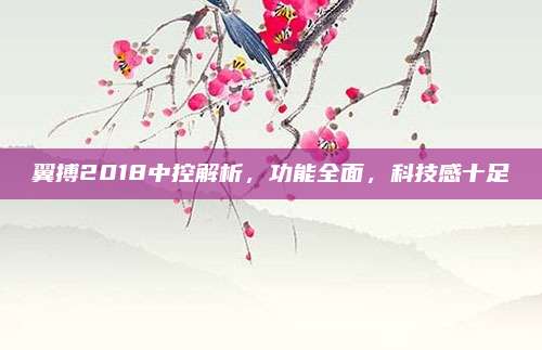 翼搏2018中控解析，功能全面，科技感十足
