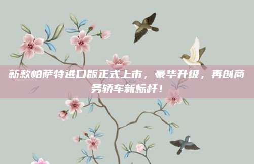 新款帕萨特进口版正式上市,豪华升级,再创商务轿车新标杆!
