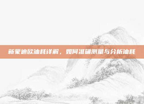 新蒙迪欧油耗详解,如何准确测量与分析油耗