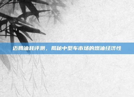 迈腾油耗评测,揭秘中型车市场的燃油经济性