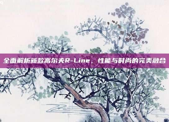 全面解析新款高尔夫R-Line,性能与时尚的完美融合