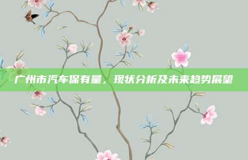 广州市汽车保有量,现状分析及未来趋势展望