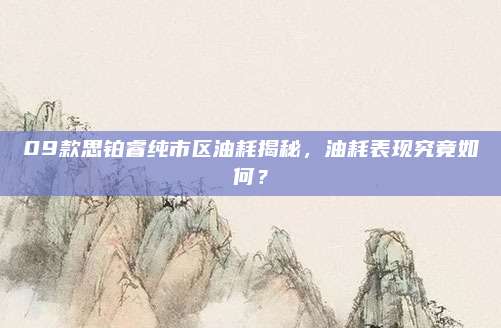 09款思铂睿纯市区油耗揭秘,油耗表现究竟如何?