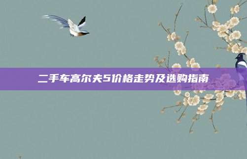二手车高尔夫5价格走势及选购指南