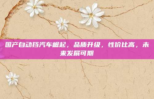 国产自动挡汽车崛起，品质升级，性价比高，未来发展可期